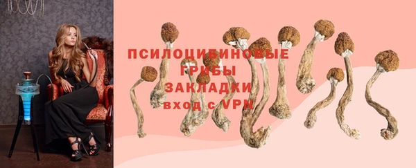 spice Белокуриха