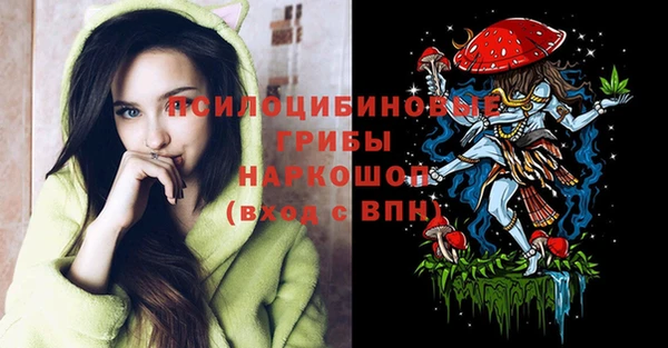 шишки Балахна