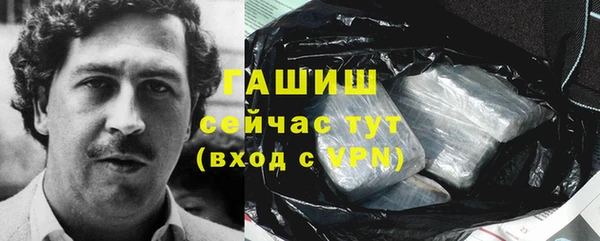 шишки Балахна