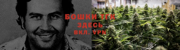 spice Белокуриха