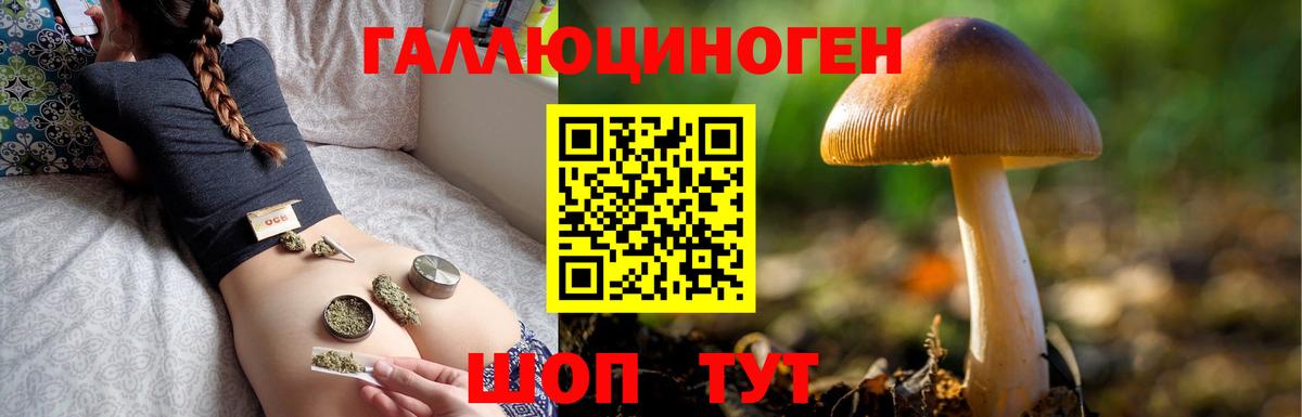 Псилоцибиновые грибы ЛСД Великий Устюг